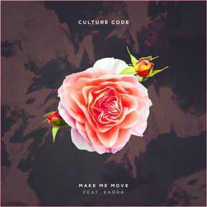 国产探花第一页
