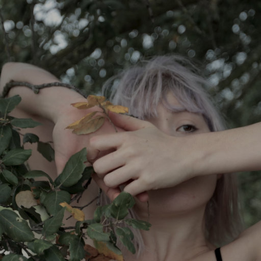 国产探花第一页
